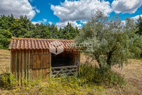 Villa i Santarem, Santarem, Santarem - € 580.000 | Ref: FR331 - foto 7