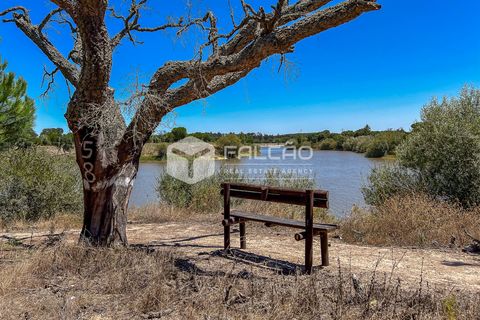 Terra a Benavente, Santarem, Benavente - € 9.500.000 | Ref: FR379 - foto 2