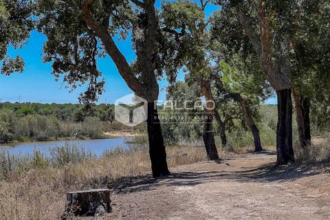 Terra a Benavente, Santarem, Benavente - € 9.500.000 | Ref: FR379 - foto 3