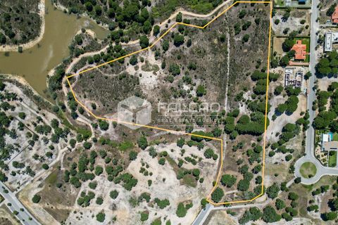 Terra a Benavente, Santarem, Benavente - € 9.500.000 | Ref: FR379 - foto 4