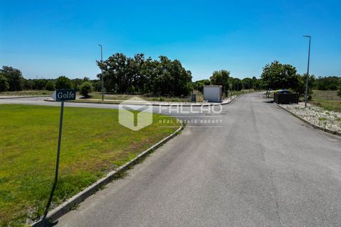 Terra a Benavente, Santarem, Benavente - € 9.500.000 | Ref: FR379 - foto 5
