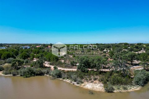 Terra a Benavente, Santarem, Benavente - € 9.500.000 | Ref: FR379 - foto 6