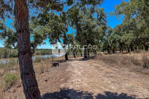 Terra a Benavente, Santarem, Benavente - € 9.500.000 | Ref: FR379 - foto 7