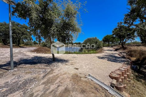 Terra a Benavente, Santarem, Benavente - € 9.500.000 | Ref: FR379 - foto 8