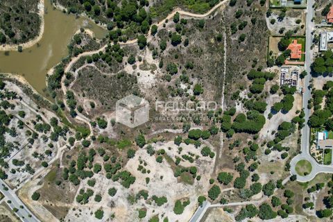 Terra a Benavente, Santarem, Benavente - € 9.500.000 | Ref: FR379 - foto 9