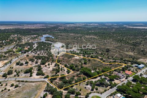 Terra a Benavente, Santarem, Benavente - € 9.500.000 | Ref: FR379 - foto 10