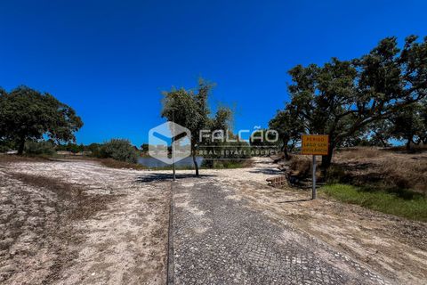 Terra a Benavente, Santarem, Benavente - € 9.500.000 | Ref: FR379 - foto 11
