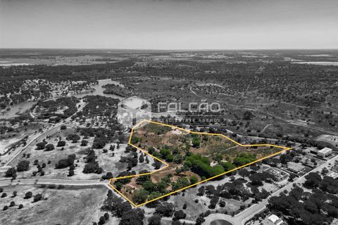 Terra a Benavente, Santarem, Benavente - € 9.500.000 | Ref: FR379 - foto 13