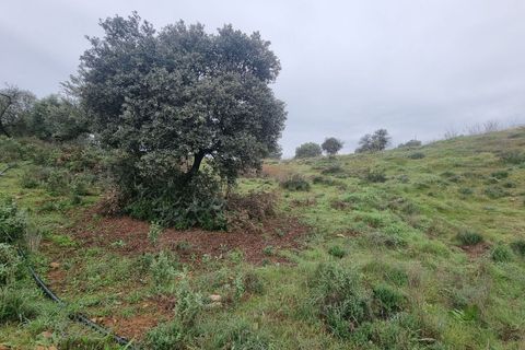 Helårsgrund i Coin, Malaga, Coin - € 160.000 | Ref: P5009152 - foto 4