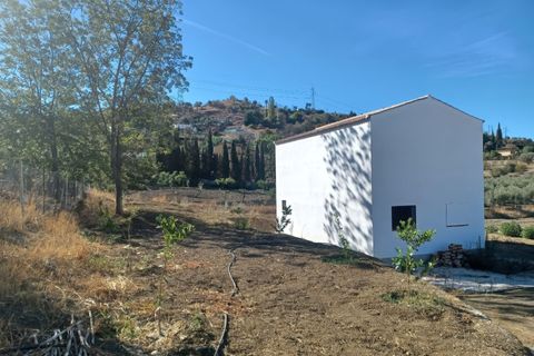 Erhvervsejendom i Coin, Malaga, Coin - € 199.000 | Ref: F4926607 - foto 14