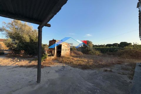 Farm hus i Coruche, Santarem, Coruche - € 160.000 | Ref: 357VMansos - foto 15