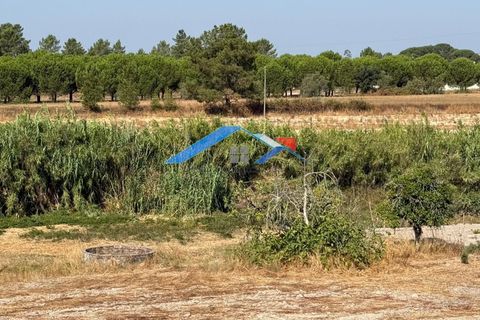 Farm hus i Coruche, Santarem, Coruche - € 160.000 | Ref: 357VMansos - foto 17