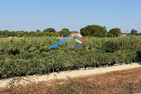 Farm hus i Coruche, Santarem, Coruche - € 160.000 | Ref: 357VMansos - foto 19