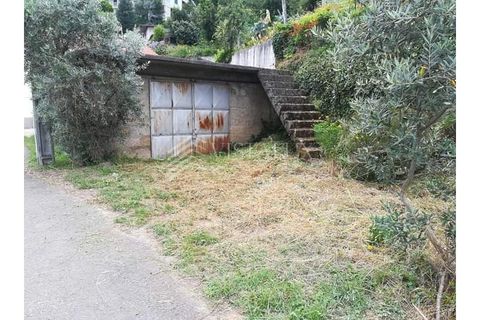 Bungalou a Talhadas, Aveiro, Talhadas - € 55.000 | Ref: CAS_38 - foto 8