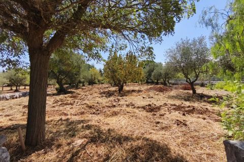 Rækkehus i Fasano, Brindisi, Fasano - € 168.000 | Ref: SELCHI - foto 44