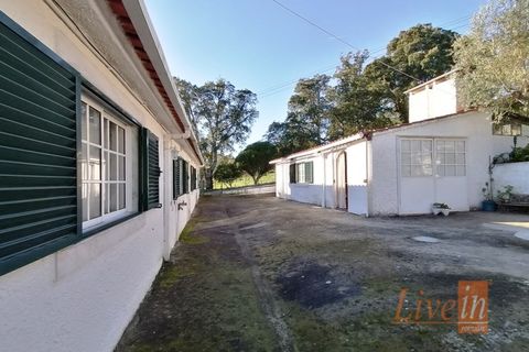 Granja a Bucelas, Lisbon, Bucelas - € 1.850.000 | Ref: 9120AASS - foto 11