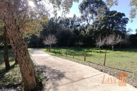 Granja a Bucelas, Lisbon, Bucelas - € 1.850.000 | Ref: 9120AASS - foto 22