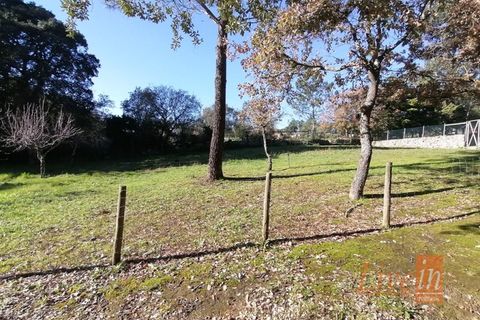 Granja a Bucelas, Lisbon, Bucelas - € 1.850.000 | Ref: 9120AASS - foto 23