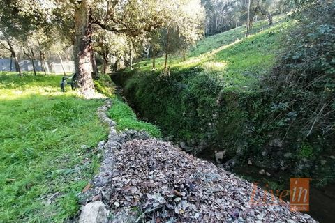 Granja a Bucelas, Lisbon, Bucelas - € 1.850.000 | Ref: 9120AASS - foto 24