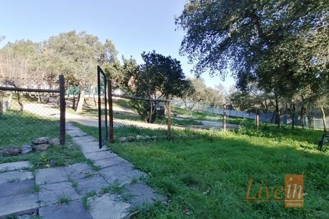 Granja a Bucelas, Lisbon, Bucelas - € 1.850.000 | Ref: 9120AASS - foto 25
