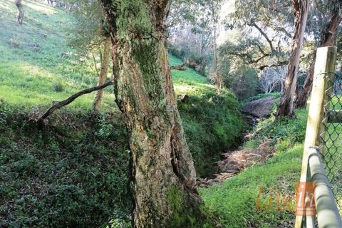 Granja a Bucelas, Lisbon, Bucelas - € 1.850.000 | Ref: 9120AASS - foto 26