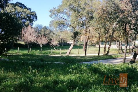 Granja a Bucelas, Lisbon, Bucelas - € 1.850.000 | Ref: 9120AASS - foto 27