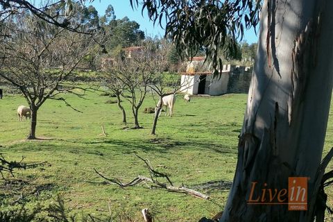 Granja a Bucelas, Lisbon, Bucelas - € 1.850.000 | Ref: 9120AASS - foto 32