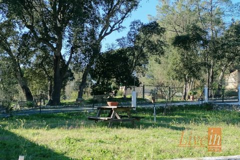 Granja a Bucelas, Lisbon, Bucelas - € 1.850.000 | Ref: 9120AASS - foto 34