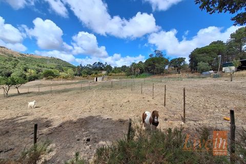 Granja a Bucelas, Lisbon, Bucelas - € 1.850.000 | Ref: 9120AASS - foto 41
