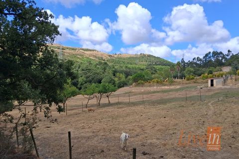 Granja a Bucelas, Lisbon, Bucelas - € 1.850.000 | Ref: 9120AASS - foto 42