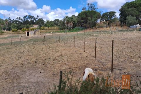 Granja a Bucelas, Lisbon, Bucelas - € 1.850.000 | Ref: 9120AASS - foto 43