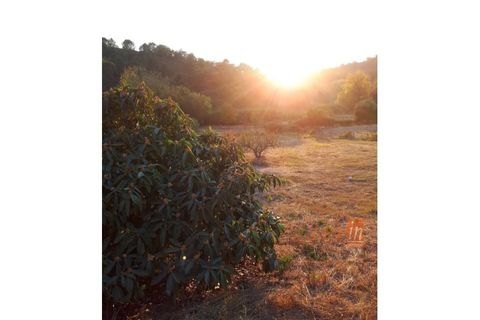 Helårsgrund i Mafra, Lisbon, Mafra - € 66.500 | Ref: 9776AA - foto 3