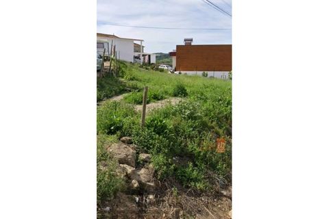 Helårsgrund i Mafra, Lisbon, Mafra - € 66.500 | Ref: 9776AA - foto 6