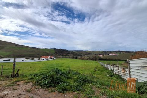 Helårsgrund i Mafra, Lisbon, Mafra - € 66.500 | Ref: 9776AA - foto 12