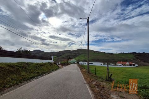 Helårsgrund i Mafra, Lisbon, Mafra - € 66.500 | Ref: 9776AA - foto 13