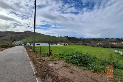 Helårsgrund i Mafra, Lisbon, Mafra - € 66.500 | Ref: 9776AA - foto 15