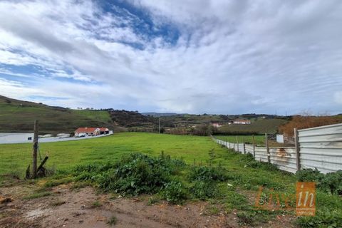 Helårsgrund i Mafra, Lisbon, Mafra - € 66.500 | Ref: 9776AA - foto 16