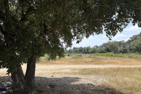 Helårsgrund i Tourrettes, Var, Tourrettes - € 370.000 | Ref: A5918 - foto 3