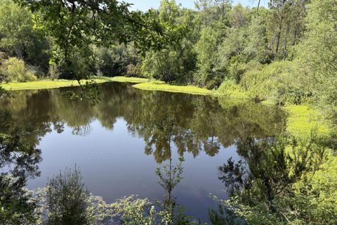 Helårsgrund i Tourrettes, Var, Tourrettes - € 370.000 | Ref: A5918 - foto 7