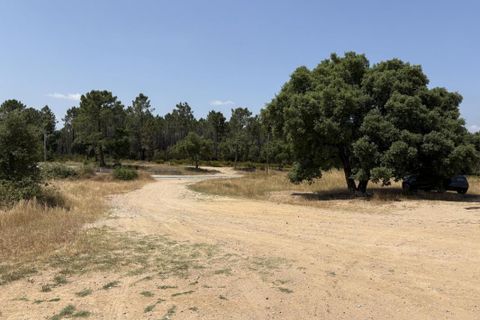 Helårsgrund i Tourrettes, Var, Tourrettes - € 370.000 | Ref: A5918 - foto 10