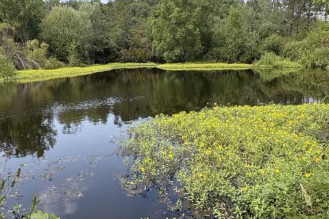 Helårsgrund i Tourrettes, Var, Tourrettes - € 370.000 | Ref: A5918 - foto 15