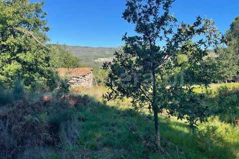 Landejendom i Mangualde, Viseu, Mangualde - € 60.000 | Ref: 389230196 - foto 2