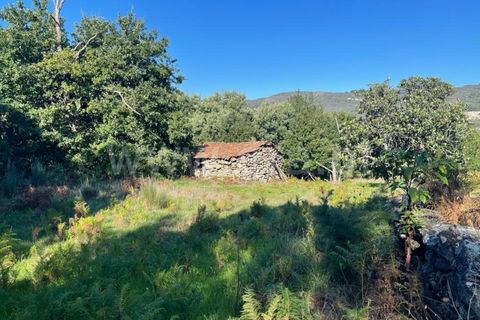 Landejendom i Mangualde, Viseu, Mangualde - € 60.000 | Ref: 389230196 - foto 3