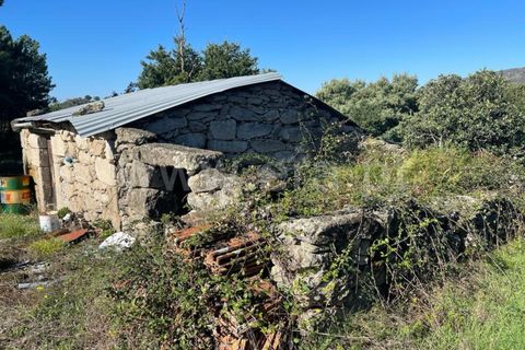 Landejendom i Mangualde, Viseu, Mangualde - € 60.000 | Ref: 389230196 - foto 4