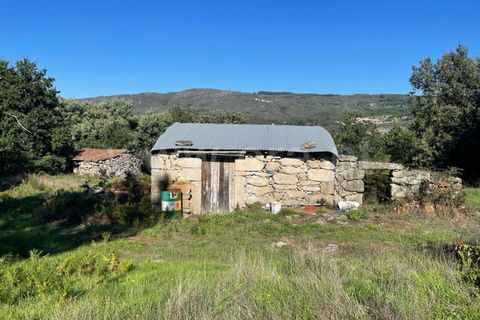 Landejendom i Mangualde, Viseu, Mangualde - € 60.000 | Ref: 389230196 - foto 5