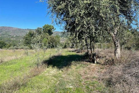 Landejendom i Mangualde, Viseu, Mangualde - € 60.000 | Ref: 389230196 - foto 6