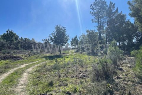 Landejendom i Mangualde, Viseu, Mangualde - € 60.000 | Ref: 389230196 - foto 7