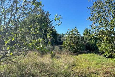 Landejendom i Mangualde, Viseu, Mangualde - € 60.000 | Ref: 389230196 - foto 8