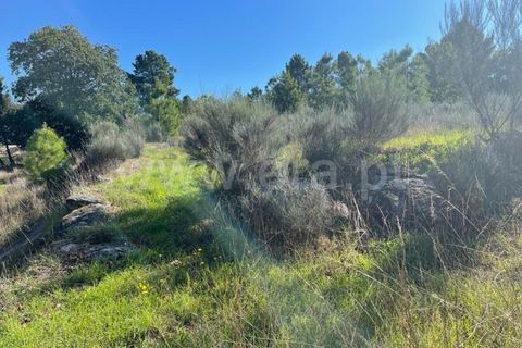 Landejendom i Mangualde, Viseu, Mangualde - € 60.000 | Ref: 389230196 - foto 9