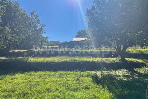 Landejendom i Mangualde, Viseu, Mangualde - € 60.000 | Ref: 389230196 - foto 10